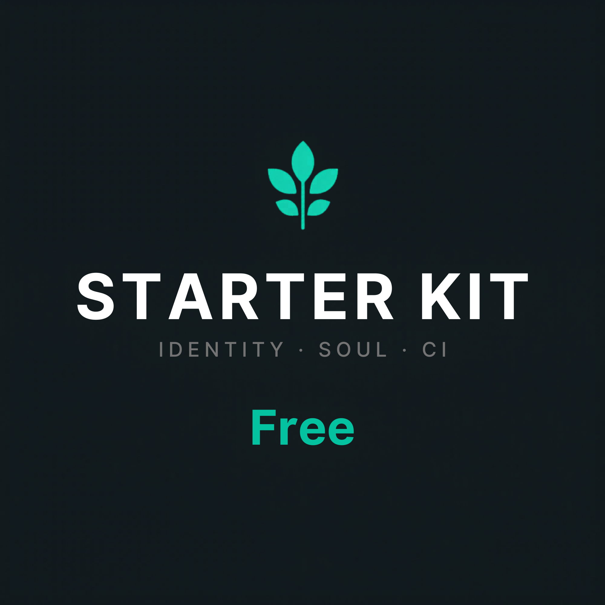 VEGAX Starter Kit